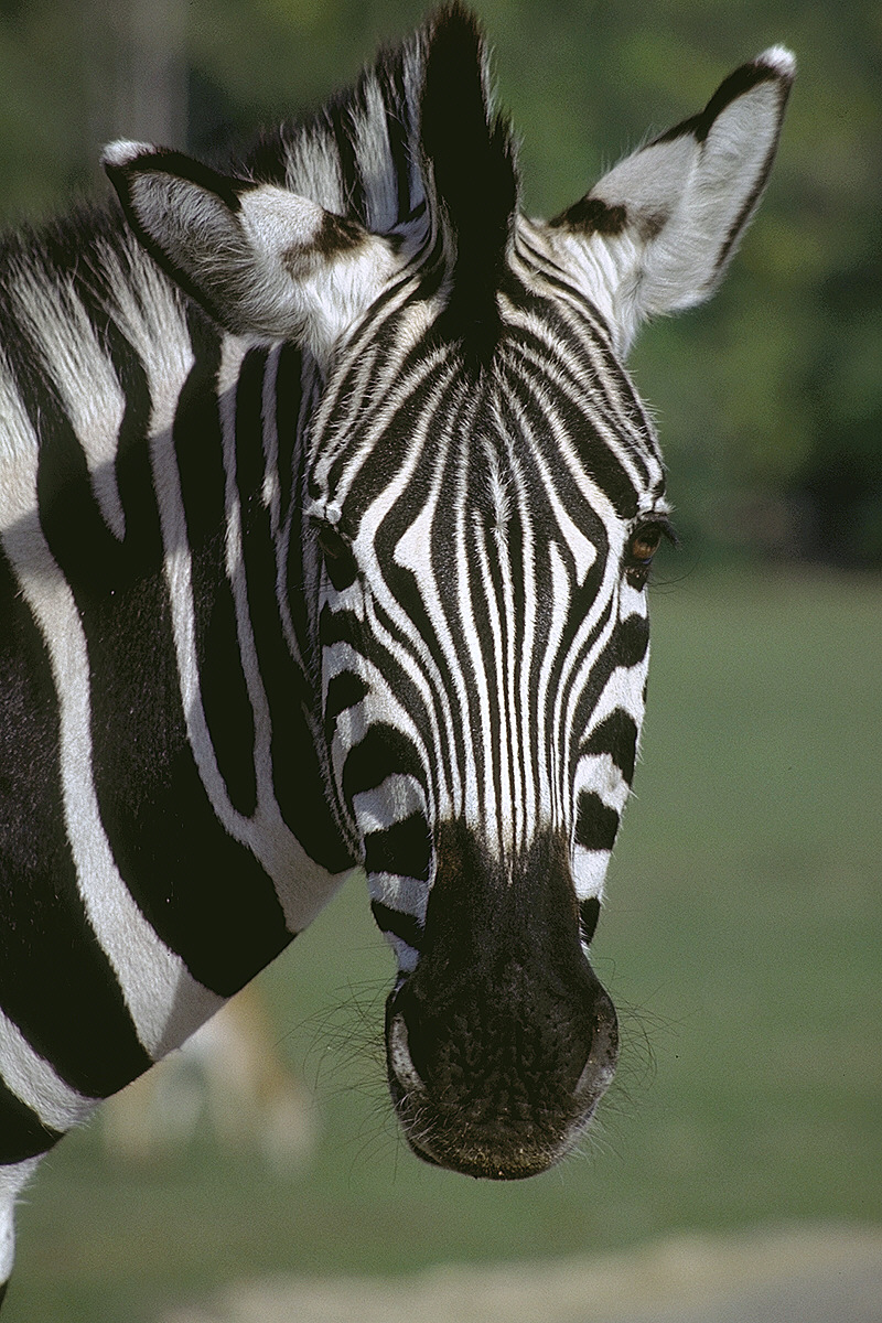 img0008.jpg