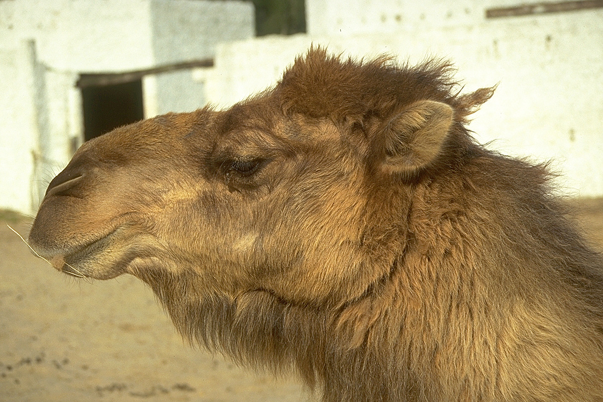 img0021.jpg