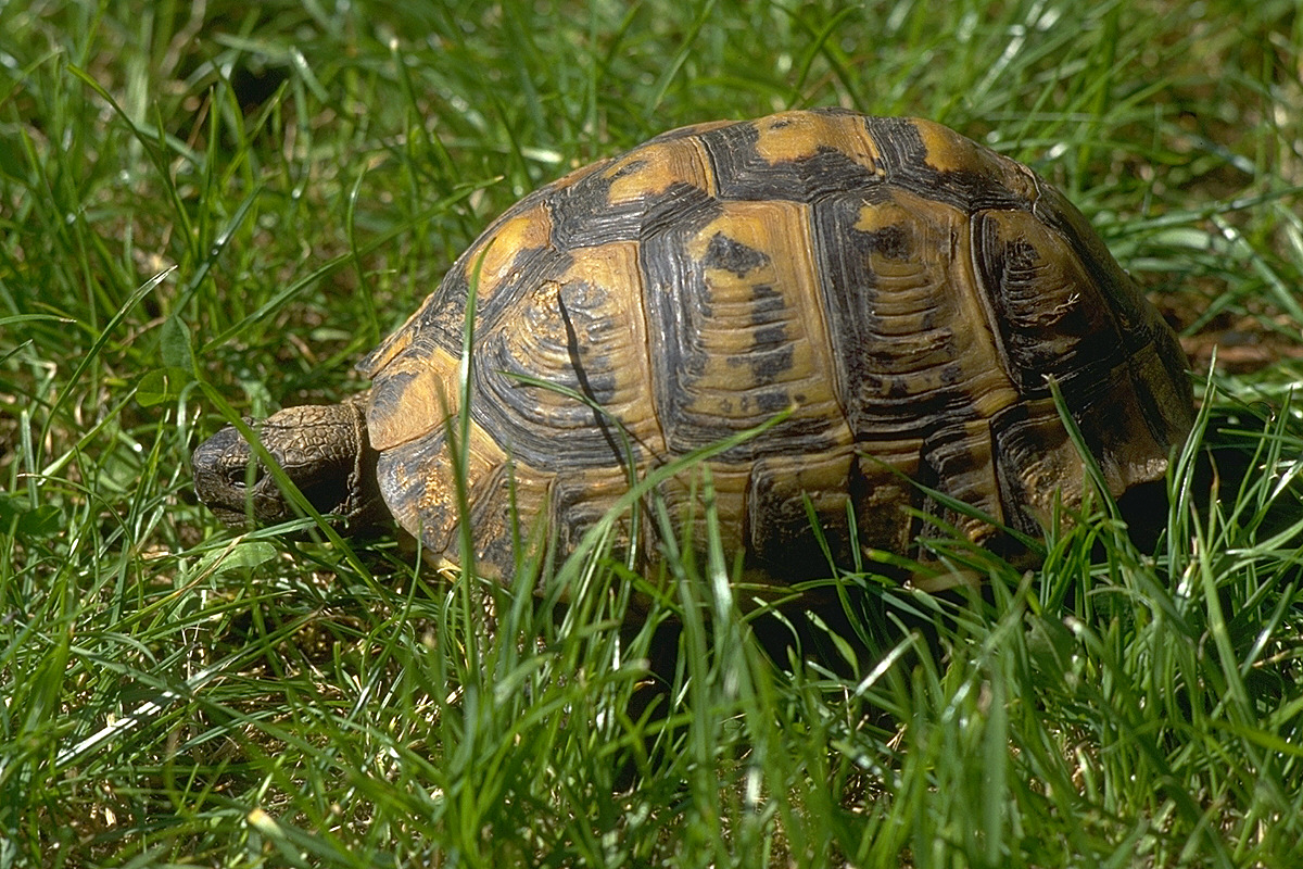 img0025.jpg