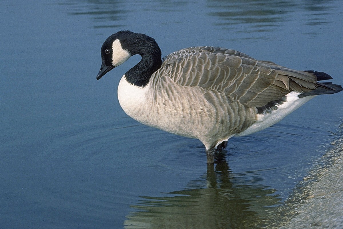 img0029.jpg