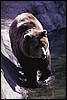 img0011.jpg
