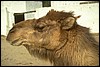 img0021.jpg
