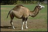 img0024.jpg