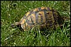 img0025.jpg