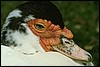 img0032.jpg