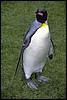 img0034.jpg