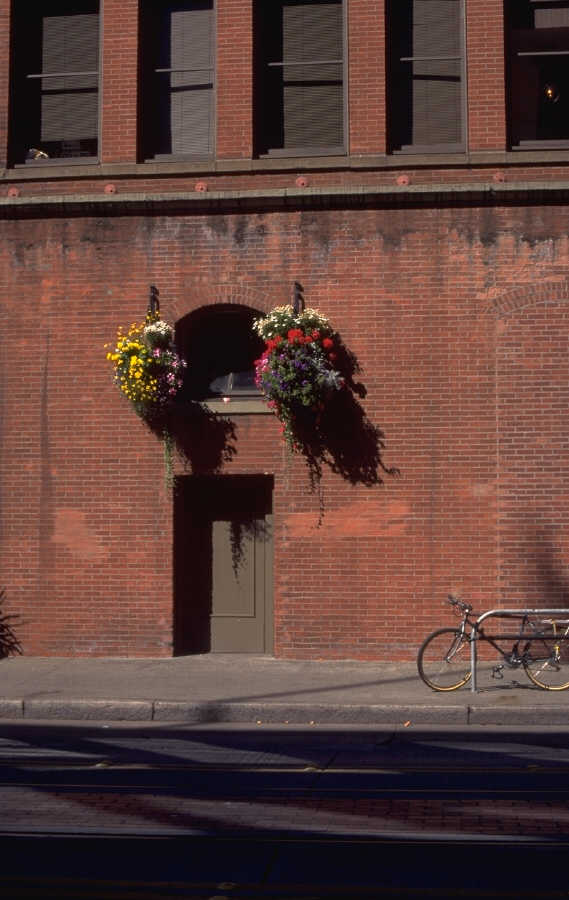 P0100047.JPG
