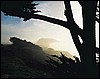 045029.JPG