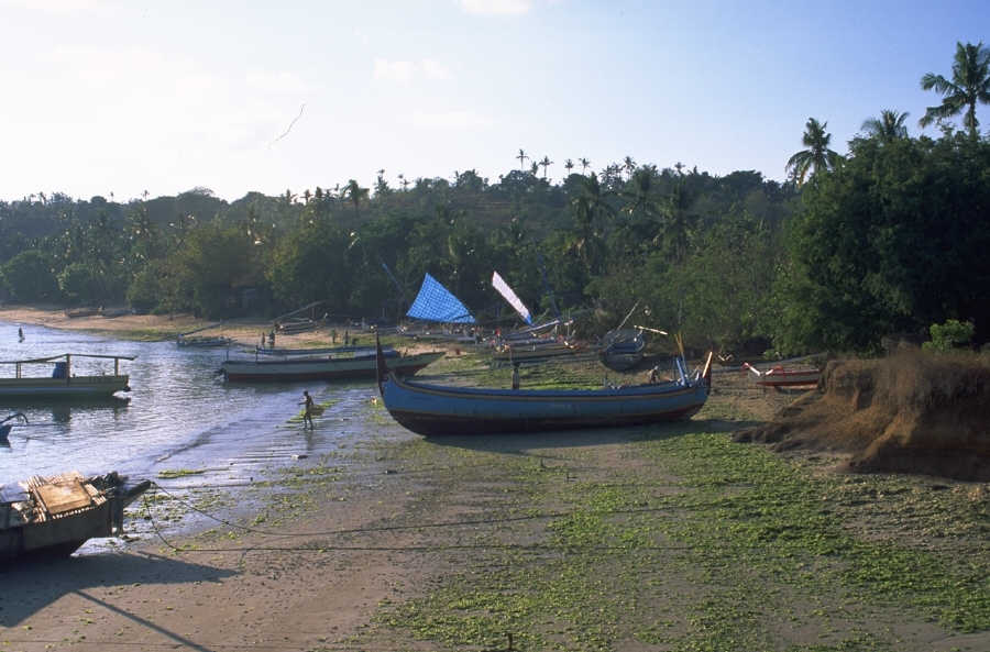 P0100456.JPG