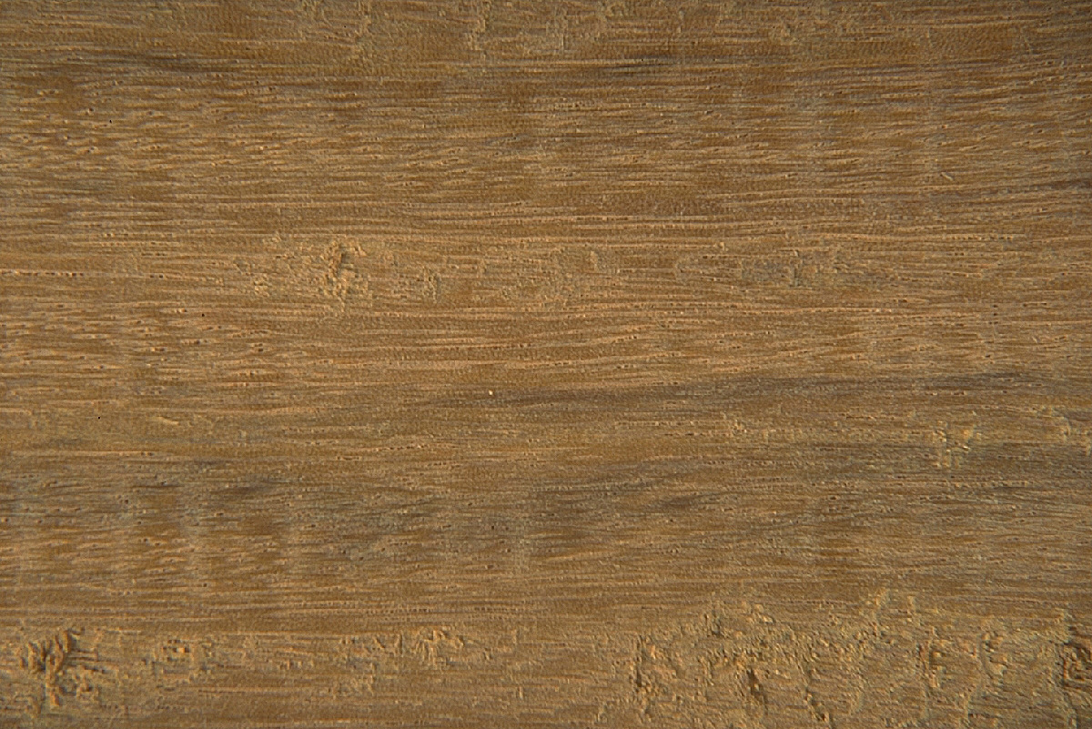 img0091.jpg