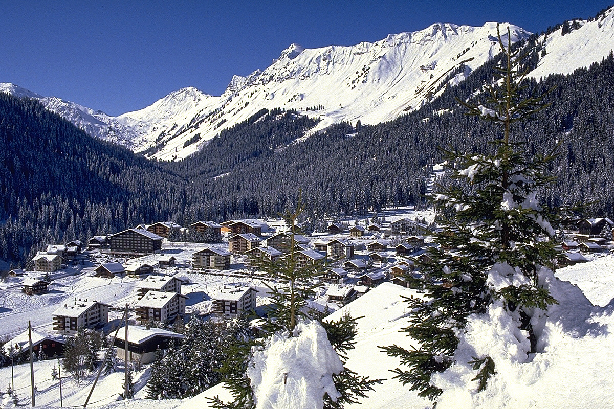 img0106.jpg