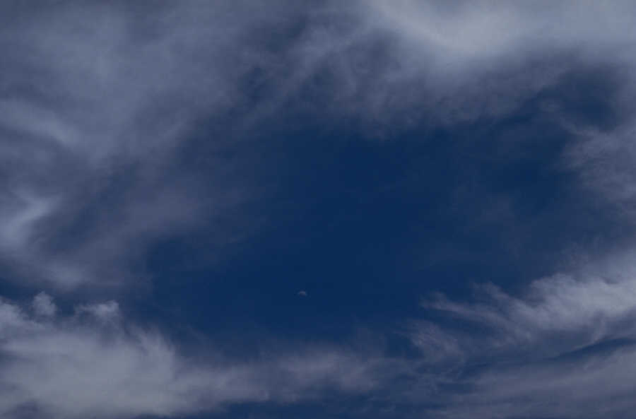 P0100361.JPG