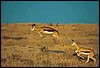 029121.JPG