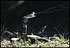 031010.JPG
