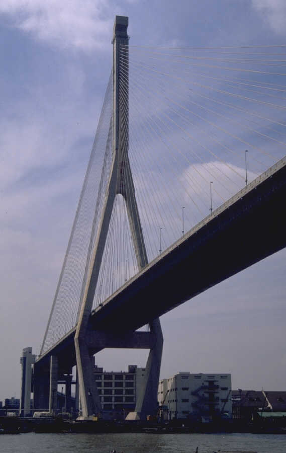 P0104430.JPG