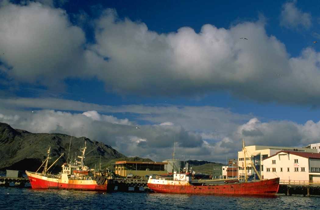 P0104433.JPG