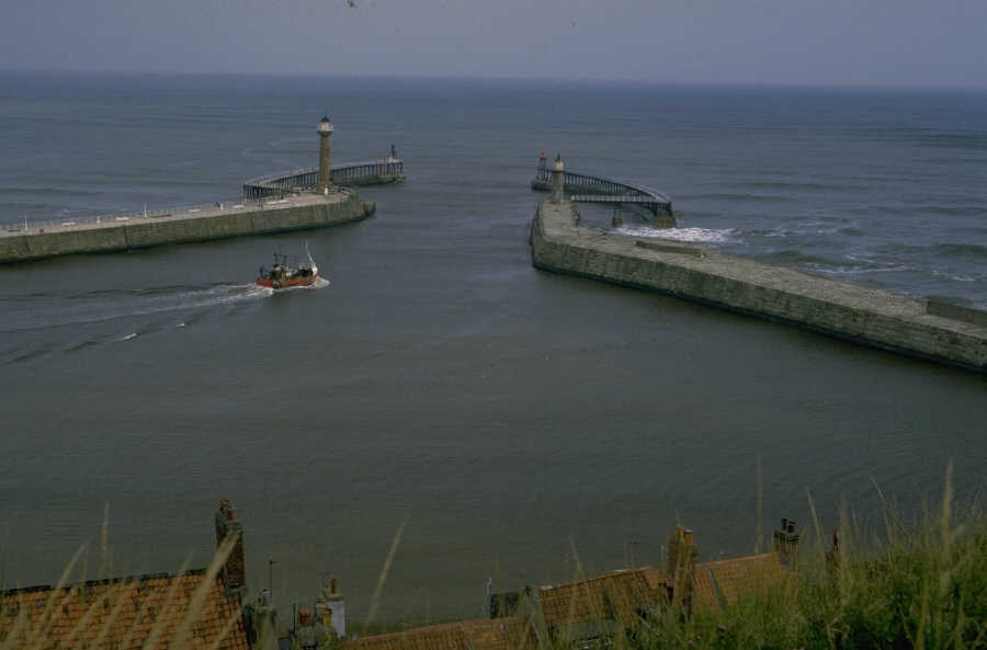 P0104451.JPG