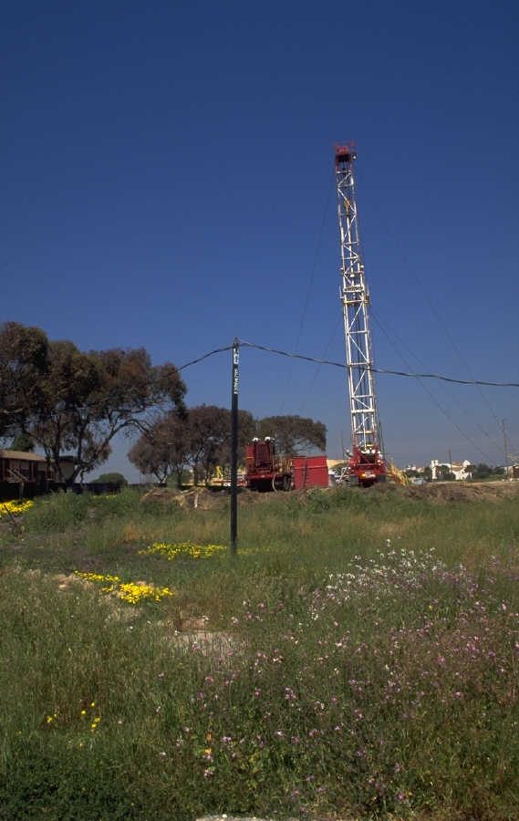 P0104458.JPG