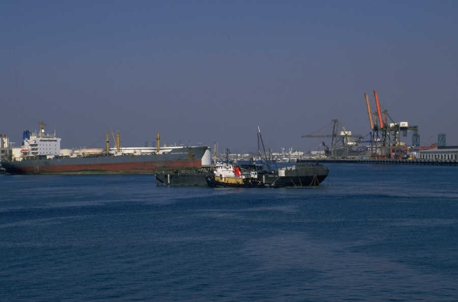 P0104474.JPG