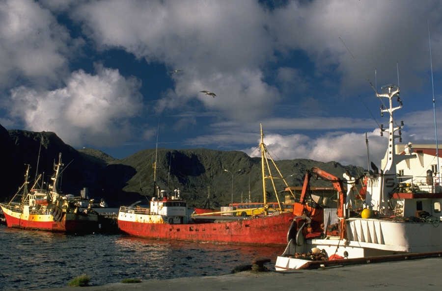 P0104476.JPG