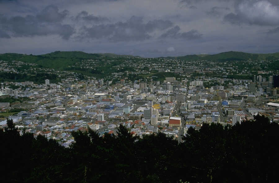 P0106615.JPG