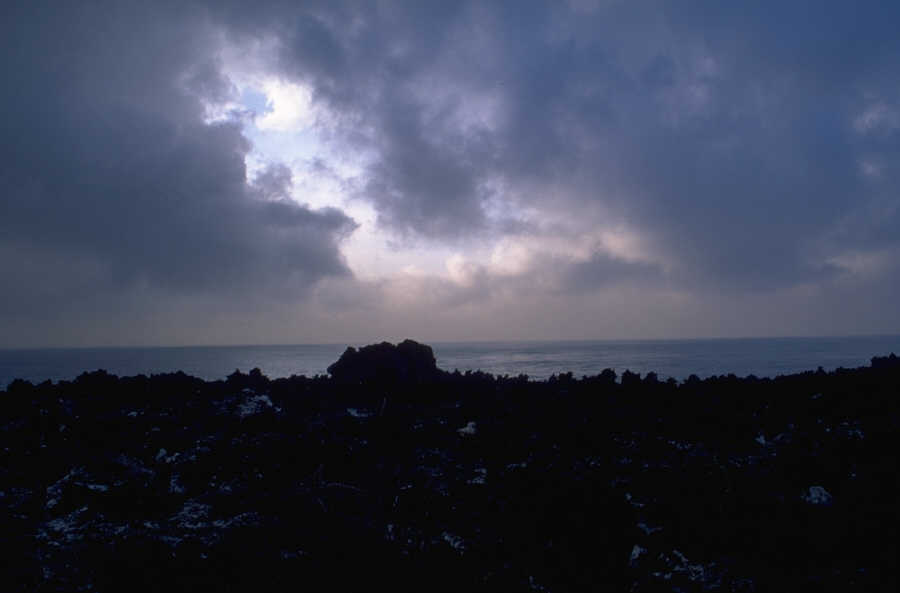 P0106618.JPG