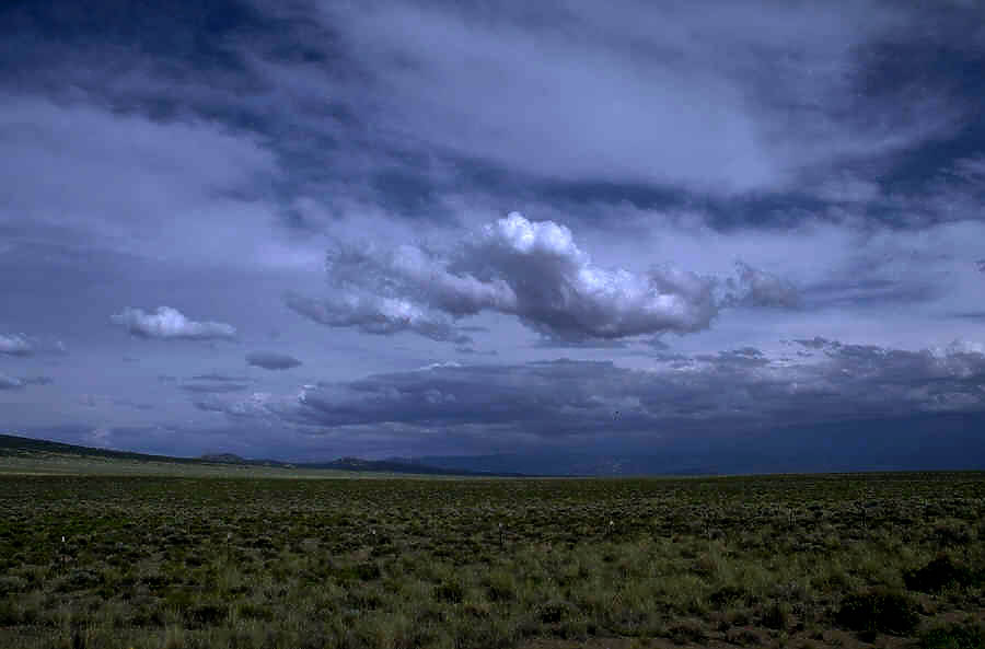 P0106627.JPG