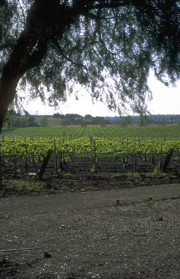 P0106662.JPG
