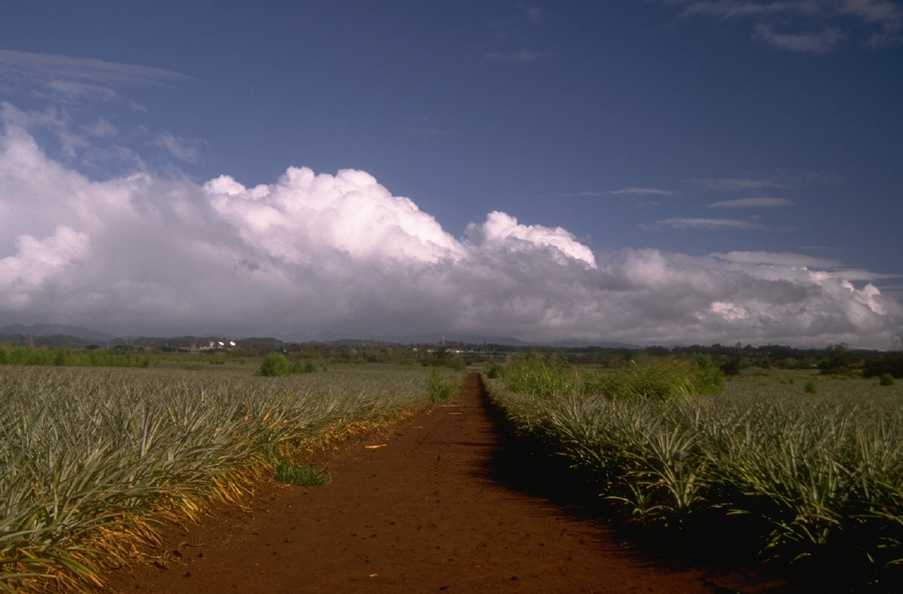 P0106667.JPG