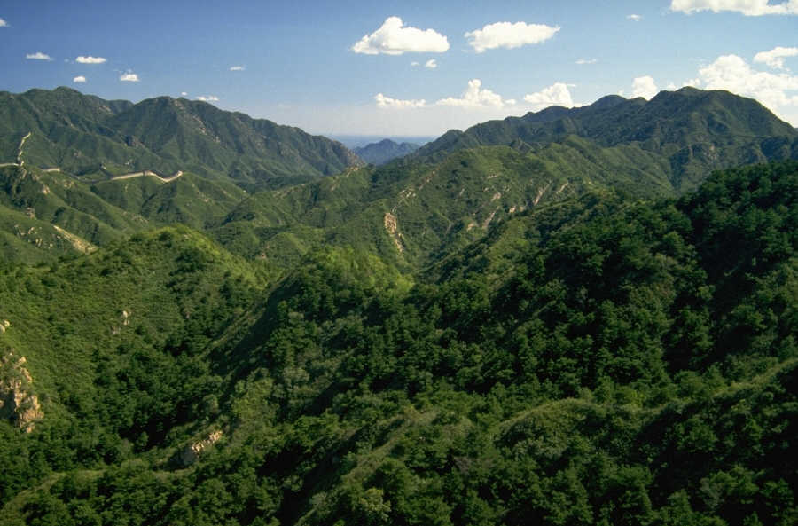 P0106714.JPG