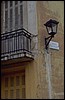 P0102883.JPG