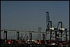 P0104452.JPG