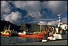 P0104476.JPG