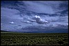 P0106627.JPG