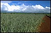 P0106670.JPG