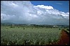 P0106671.JPG