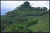 P0106701.JPG