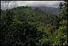 P0106710.JPG