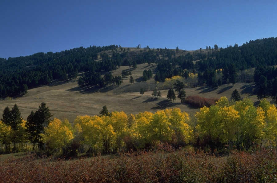 P0104751.JPG