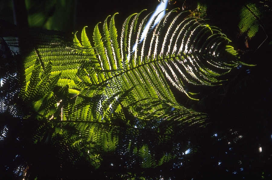 P0104754.JPG