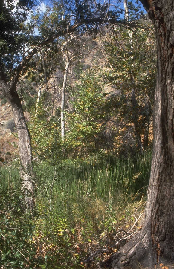 P0104755.JPG