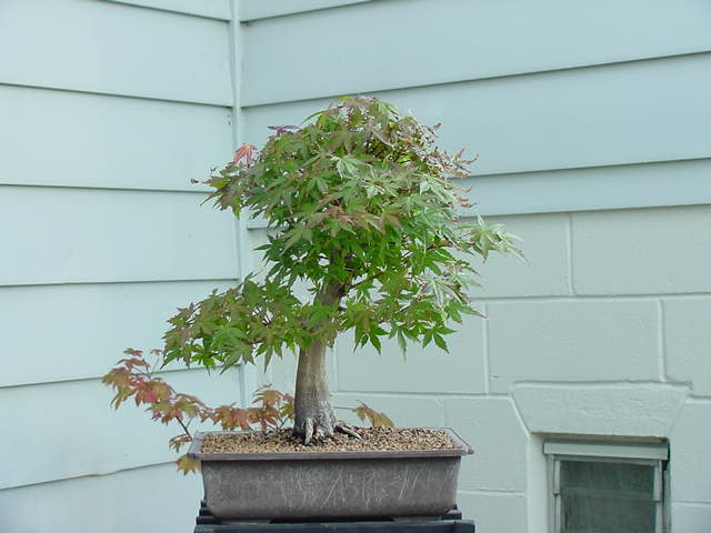 580.jpg