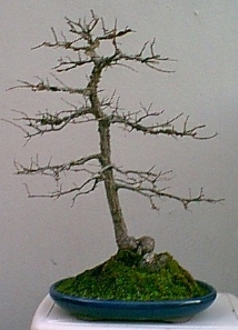 585.jpg