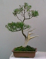 589.jpg