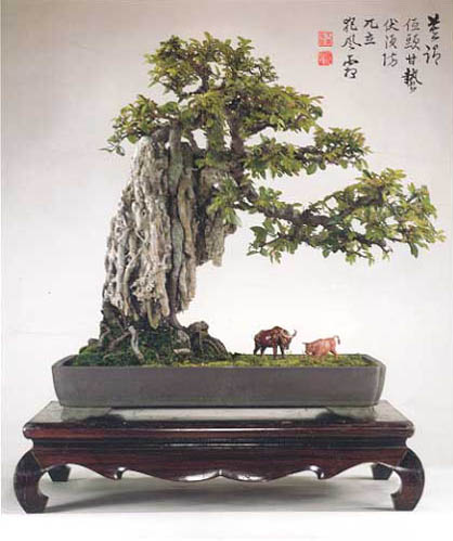 chinelmpen.jpg
