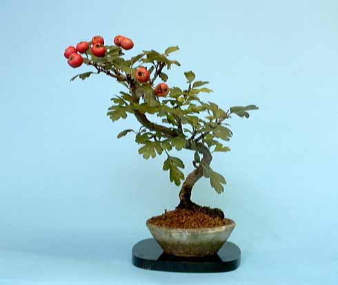 m22.jpg