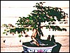 630.jpg