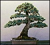 upright4b.jpg