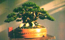 227.jpg