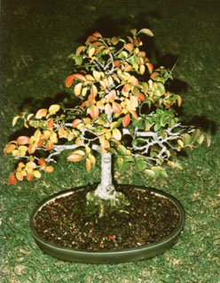 437.jpg